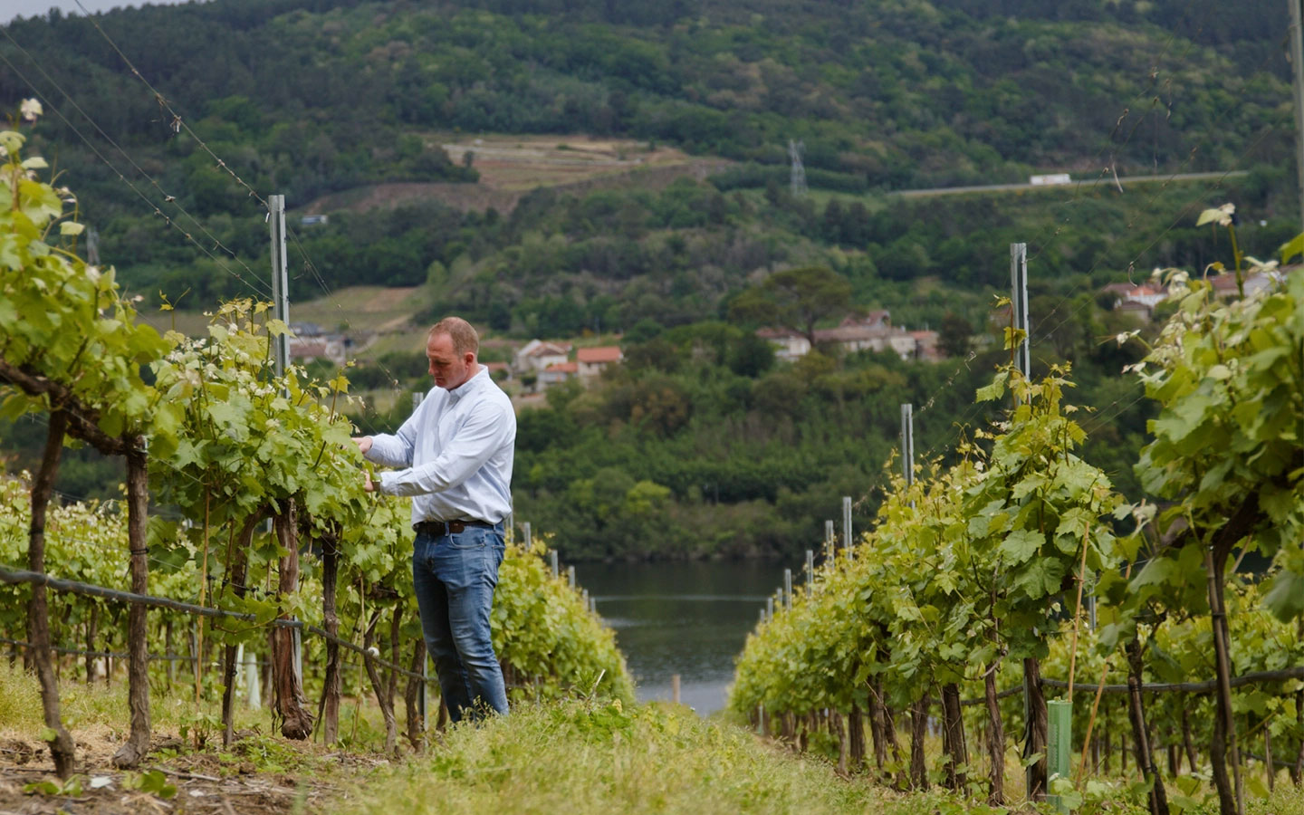 Ramón do Casar, el sueño que alumbró el mejor vino de España